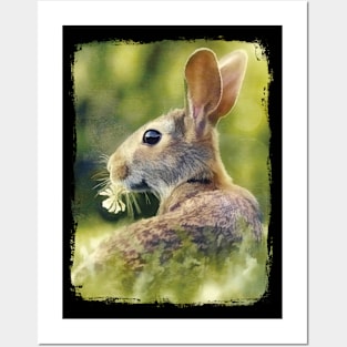 Hare In Clover Posters and Art